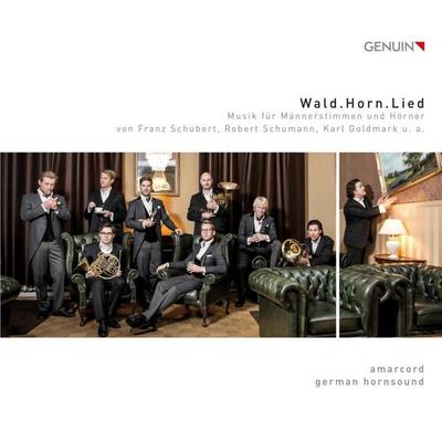 Wald.Horn.Lied-Musik für Männerstimmen & Hörner - , CD, 4260036254341