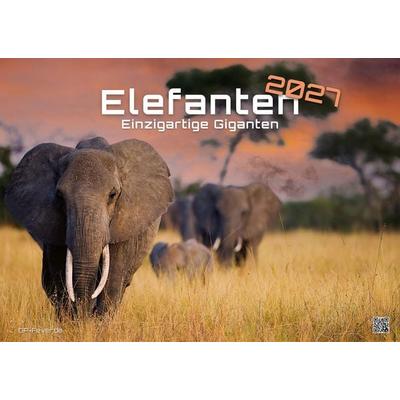 Elefanten - einzigartige Giganten - 2027 - Kalender DIN A3