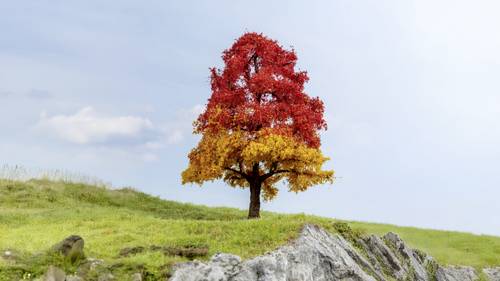NOCH 0020114 Baum Eiche 200mm 1St.