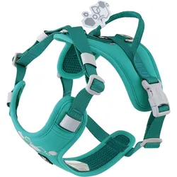 Hurtta Weekend Warrior II ECO sele, peacock 75-100 (Hund, Allgemein, Hundesport, Spazieren), Halsband + Leine