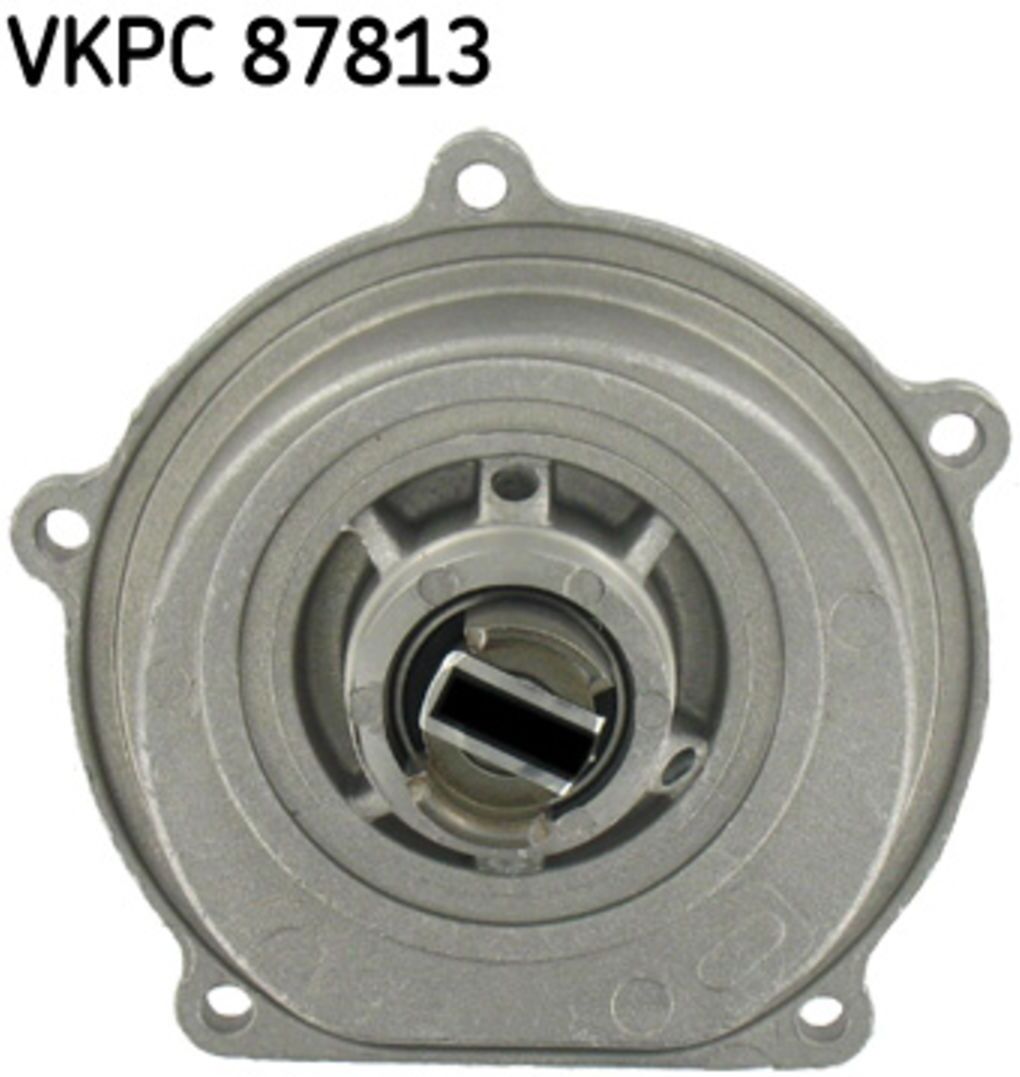 Wasserpumpe SKF VKPC 87813