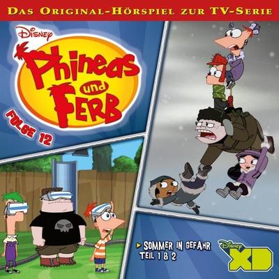 12: Sommer in Gefahr (Teil 1 & 2) (Hörspiel zur Disney TV-Serie) - , Audio, 4066339656116