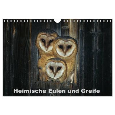 Heimische Eulen und Greife (Wandkalender 2026 DIN A4 quer), CALVENDO Monatskalender