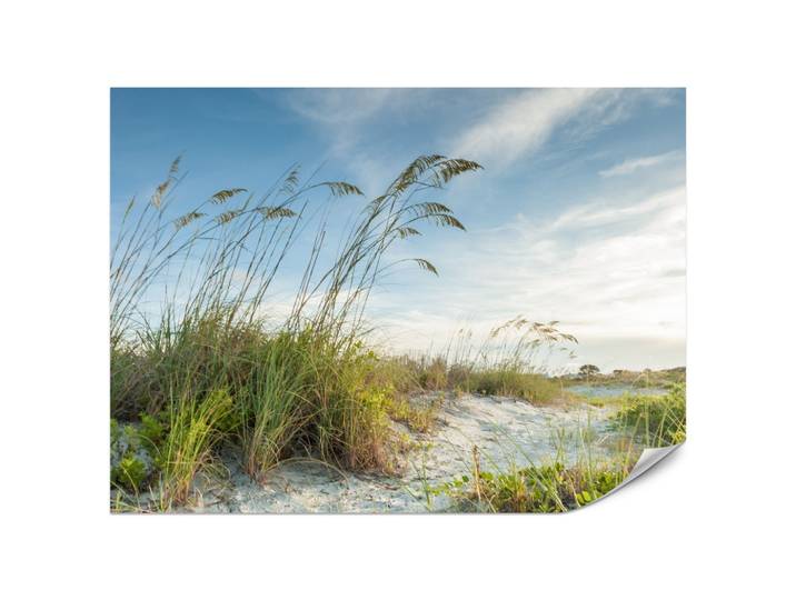 FOTOTAPETE für Schlafzimmer Dünen Pflanzen Strand Gras 200x140