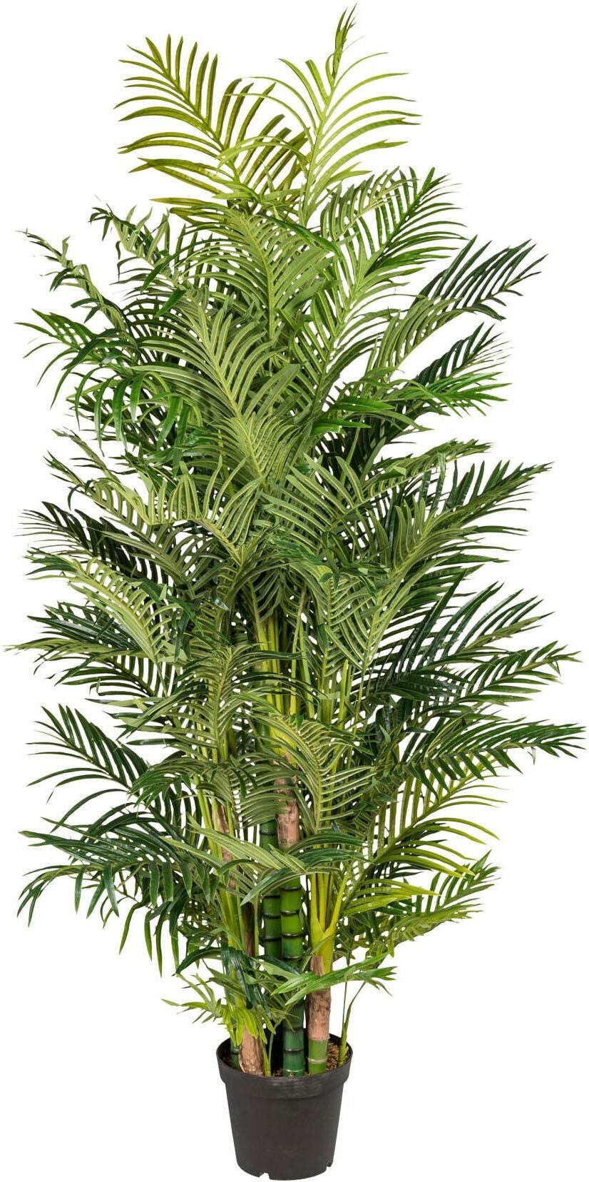 Kunstpalme CREATIV GREEN "Arecapalme", grün, H:220cm, Kunststoff, Kunstpflanzen