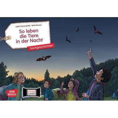 So leben die Tiere in der Nacht. Kamishibai Bildkartenset, Sonstige von Lydia Hauenschild, Don Bosco