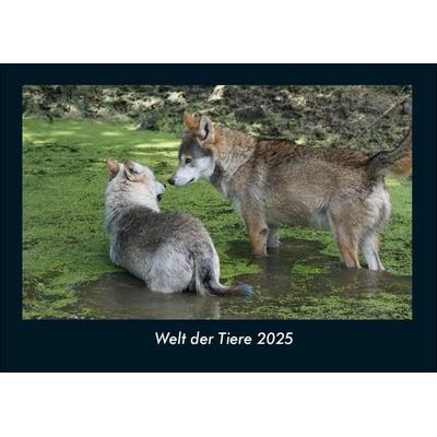 Welt der Tiere 2025 Fotokalender DIN A4