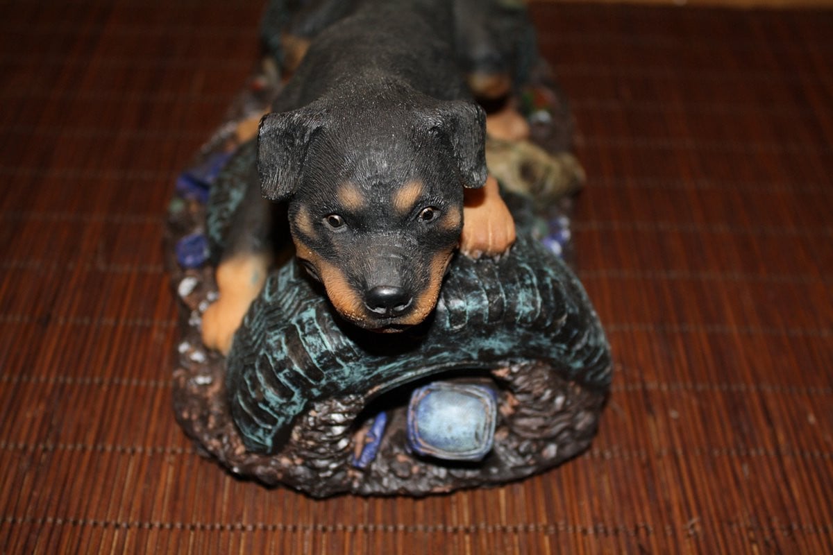 Beeld Rottweiler van Dog's Life Collectibles voor op tafel