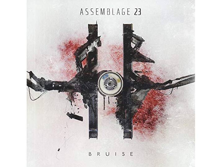 Assemblage 23 - Bruise