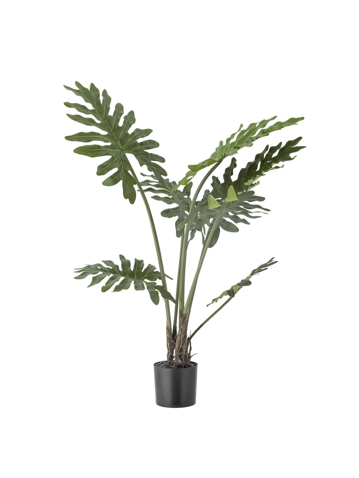 Bloomingville Philodendron