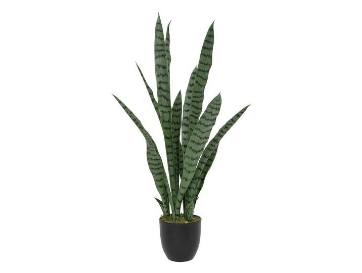 Atmosphera Createur d´interieur Künstliche Zimmerpflanze Sansevieria Toby 90 cm, Grün, Kunststoff, 90 cm, Dekoration, Blumen & Blumentöpfe, Kunstblumen