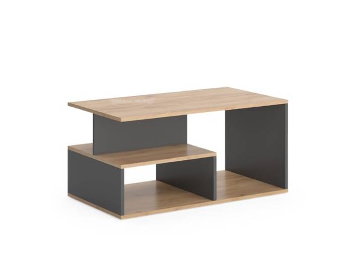 Vicco Couchtisch Hasso, Goldkraft Eiche/Anthrazit, 90 x 49.4 cm mit Ablageboden zur Aufbewahrung von Zeitschriften und Fernbedienungen