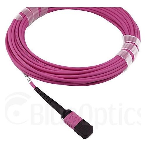 BlueOptics Cisco CB-M12-M12-MMF10M kompatibles MPO-MPO Multimode OM4 Patchkabel 10 Meter (10 m) (CB-M12-M12-MMF10M-BO)