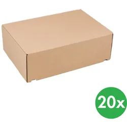 Standardisierte Schachteln für Druckschriften A4, 305 x 215 x 100 mm, 20 Stk.