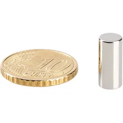 10 Stabmagnete, Neodym, 6 mm x 13 mm, N48, vernickelt, Haftkraft 1,7 kg, silber
