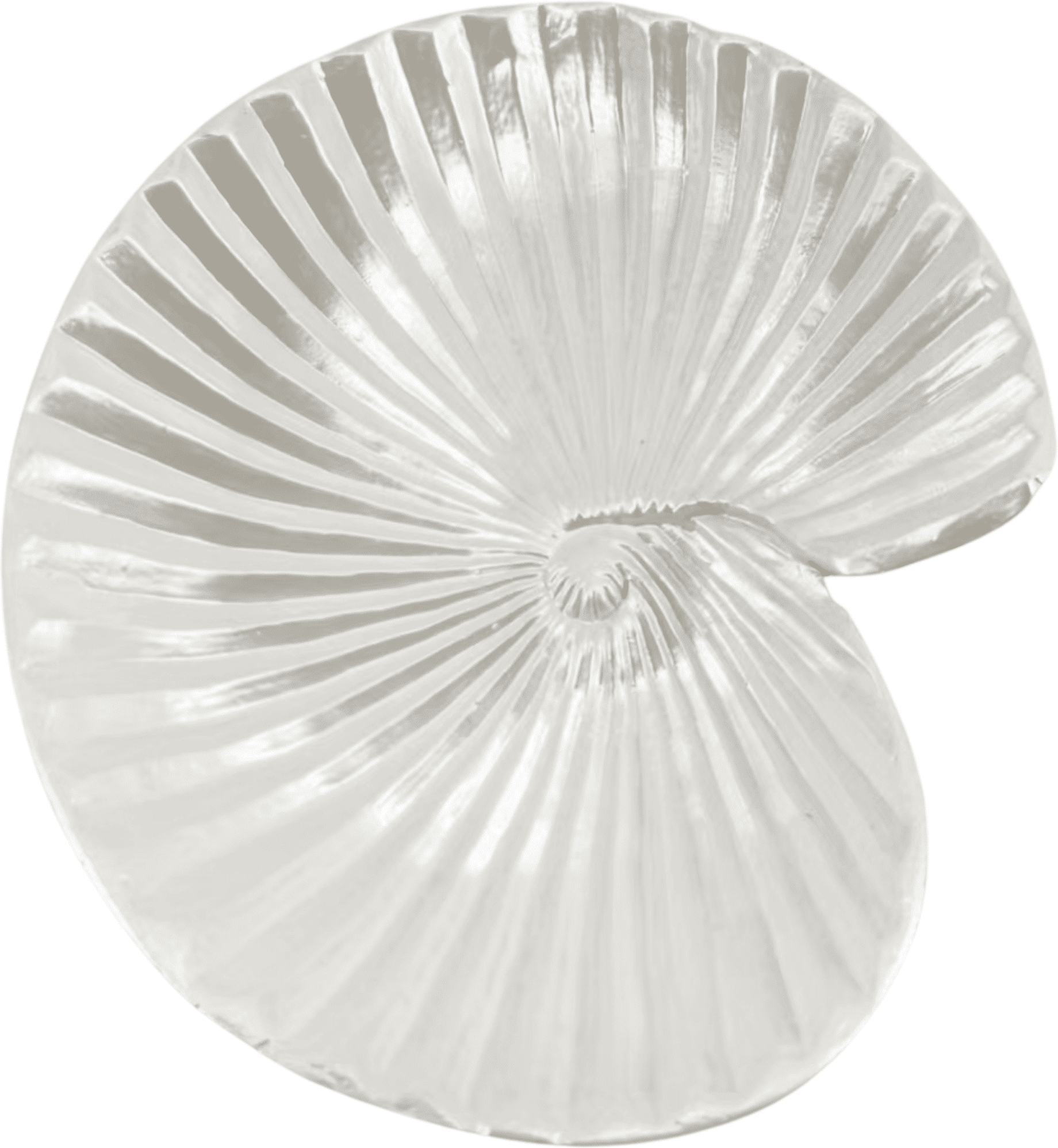 Tirso Pearlescent Shell Spiral Trinket Dish