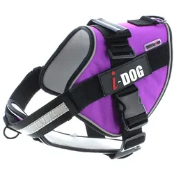 i-DOG NeoCITY (L, Hund), Halsband + Leine