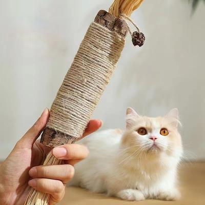 Pet Hub Catnip Cat Toys: Natural Matatabi Snacks Stick For Cats Delivery & Care Tips Color: 1 Pcs Large Stick