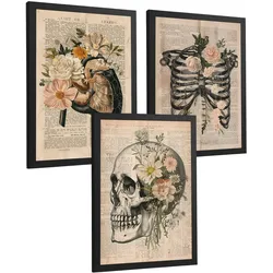 POSTER Set aus 3 Anatomie Mensch Drucke und Wandbilder mit Leber Rippen und Schädel Retro Floraler Stil Wanddekoration Größe Schwarzer Rahmen A3