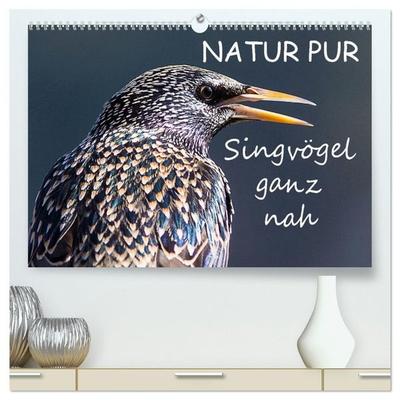 NATUR PUR - Singvögel ganz nah (hochwertiger Premium Wandkalender 2027 DIN A2 quer), Kunstdruck in Hochglanz