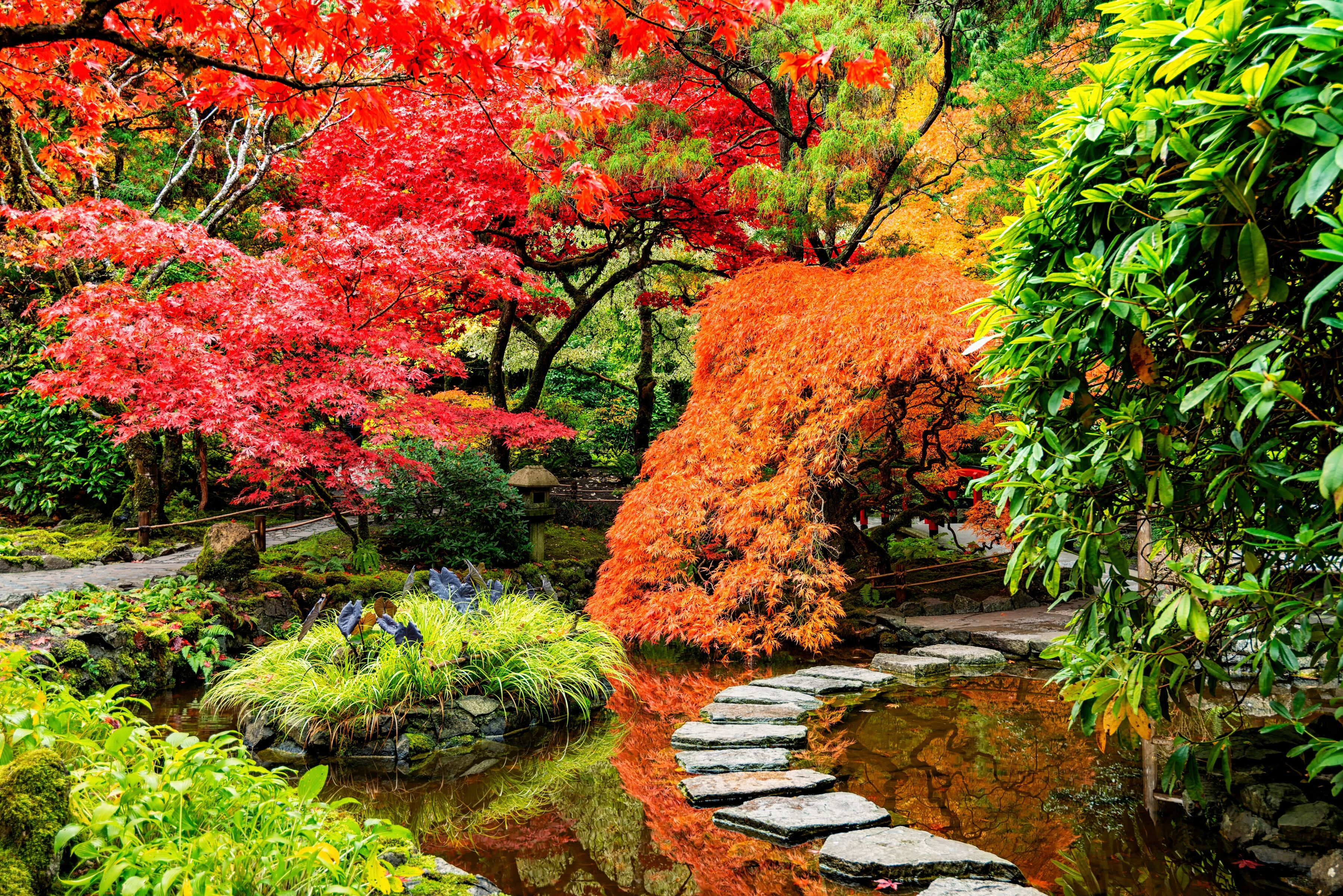 Fototapete PAPERMOON "JAPANISCHER GARTEN-BLUMEN BÄUME SEE NATUR HERBST WALD", bunt, B:4m L:2,6m, Vlies, Tapeten, Fototapete bunt B/L: 4m x 2,6m, Bahnen: 8 Stk.
