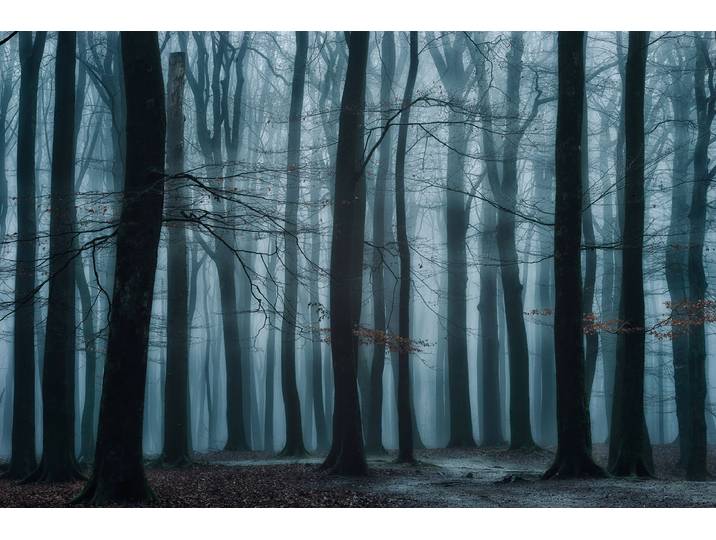 Fototapete PAPERMOON Photo-Art ELLEN BORGGREVE, WIR ALLE , bunt, B:5m L:2,8m, Vlies, Tapeten, Fototapete