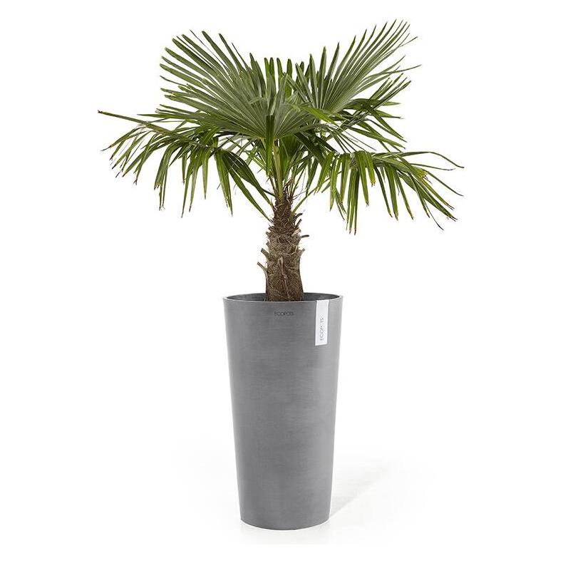 Ecopots Amsterdam halbhoch (AMMH.50.GR)