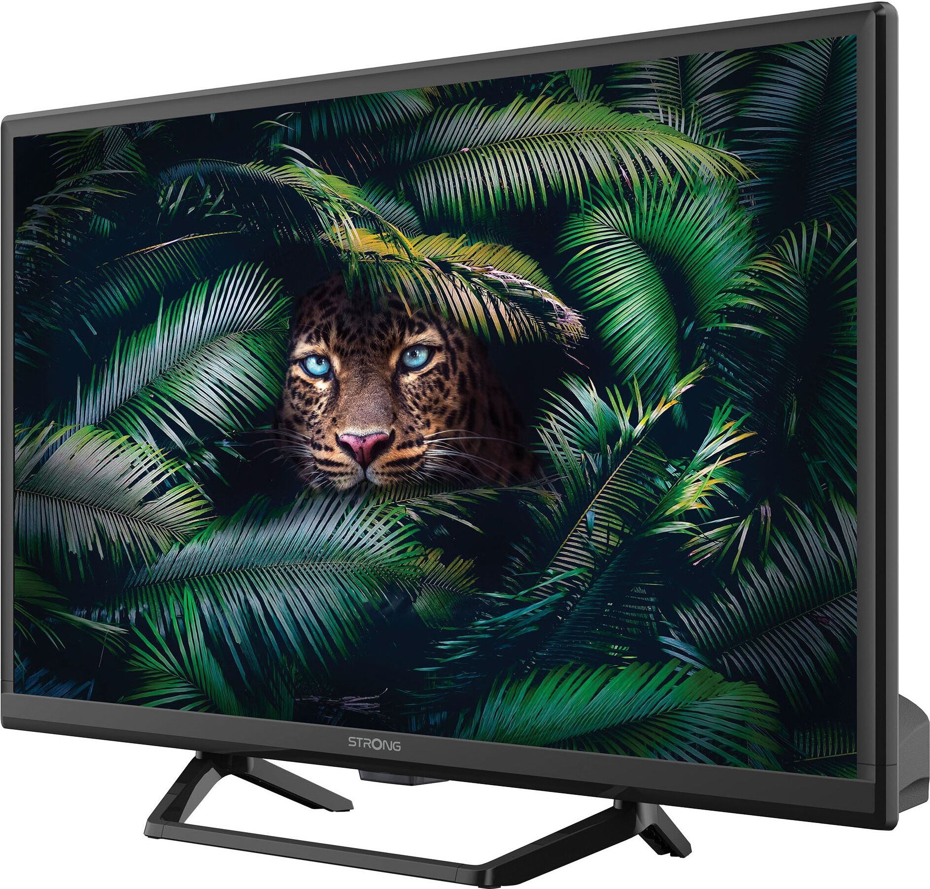 STRONG LED-Fernseher "SRT 24HE4023C", Energieeffizienz: E, schwarz, 24 ″, Fernseher, Video-Streaming: Netflix, Youtube, Amazon Prime Video, Disney+, LED-Fernseher