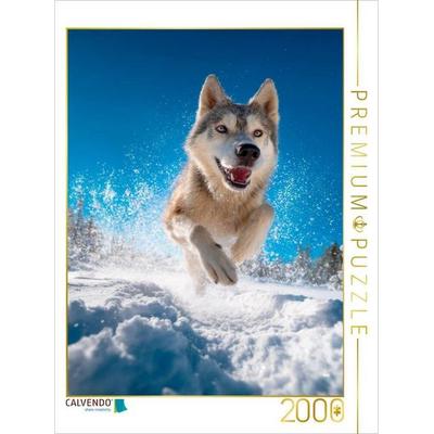 CALVENDO Puzzle Husky - Winterspaß auf vier Pfoten | 2000 Teile Lege-Größe 90 × 67 cm Foto-Puzzle für glückliche Stunden, von , Calvendo Puzzle