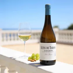 Bodegas Izadi 2024 Bodegas Altos de Torona Albarino  2024 Albarino Spanien