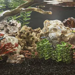 vidaXL Drachenstein (Dekoration, Felsen), Aquarium Dekoration