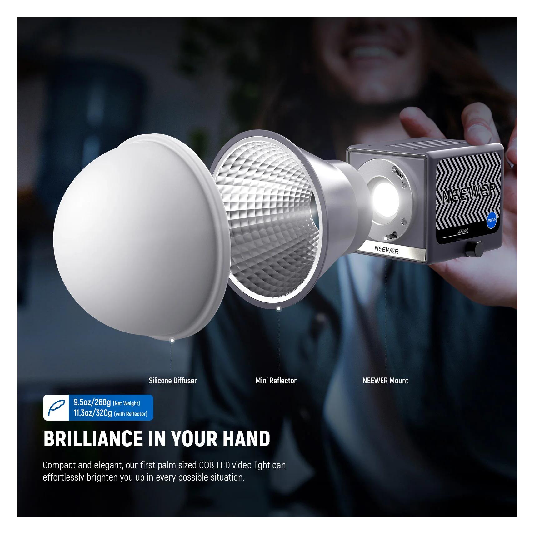 Neewer HS60B Handheld Bi-Color LED Video Light (Videoleuchte) (10104113)