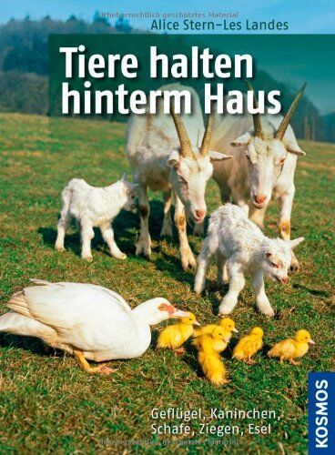 Alice Stern-Les Landes - Tiere halten hinterm Haus: Geflügel, Kaninchen, Schafe, Ziegen, Esel - Preis vom 13.10.2026 11:25:28 h