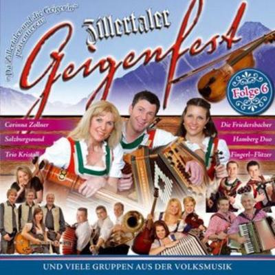 Zillertaler Geigenfest-Folge 6 - Various, CD, 9003549528913