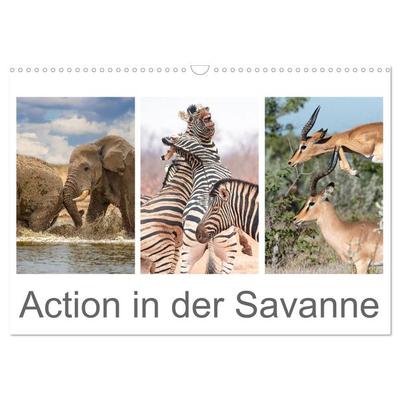 Action in der Savanne (Wandkalender 2026 DIN A3 quer), CALVENDO Monatskalender