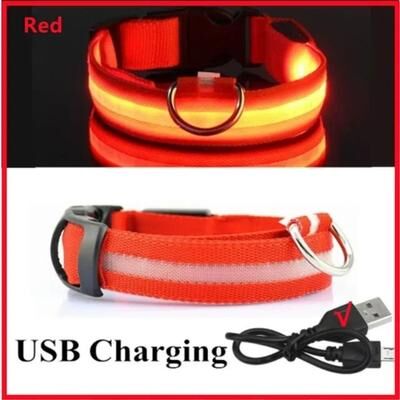 Uplift Essentials LED Glowing Dog Collar Adjustable Night Safety Luminous Collar red xl