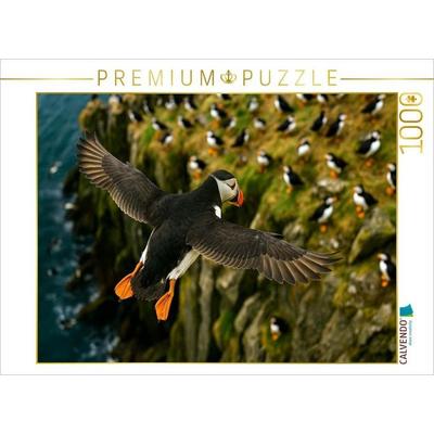 CALVENDO Puzzle Papageitaucher im Flug an der Klippe | 1000 Teile Lege-Größe 64x48cm Foto-Puzzle für glückliche Stunden