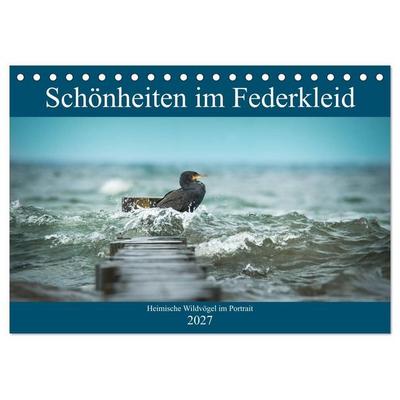 Schönheiten im Federkleid - Heimische Wildvögel im Portrait (Tischkalender 2027 DIN A5 quer), CALVENDO Monatskalender