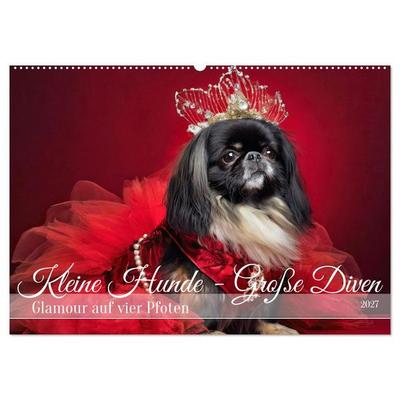 Kleine Hunde - Große Diven (Wandkalender 2027 DIN A2 quer), CALVENDO Monatskalender
