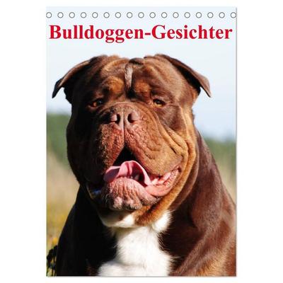 Bulldoggen-Gesichter (Tischkalender 2027 DIN A5 hoch), CALVENDO Monatskalender