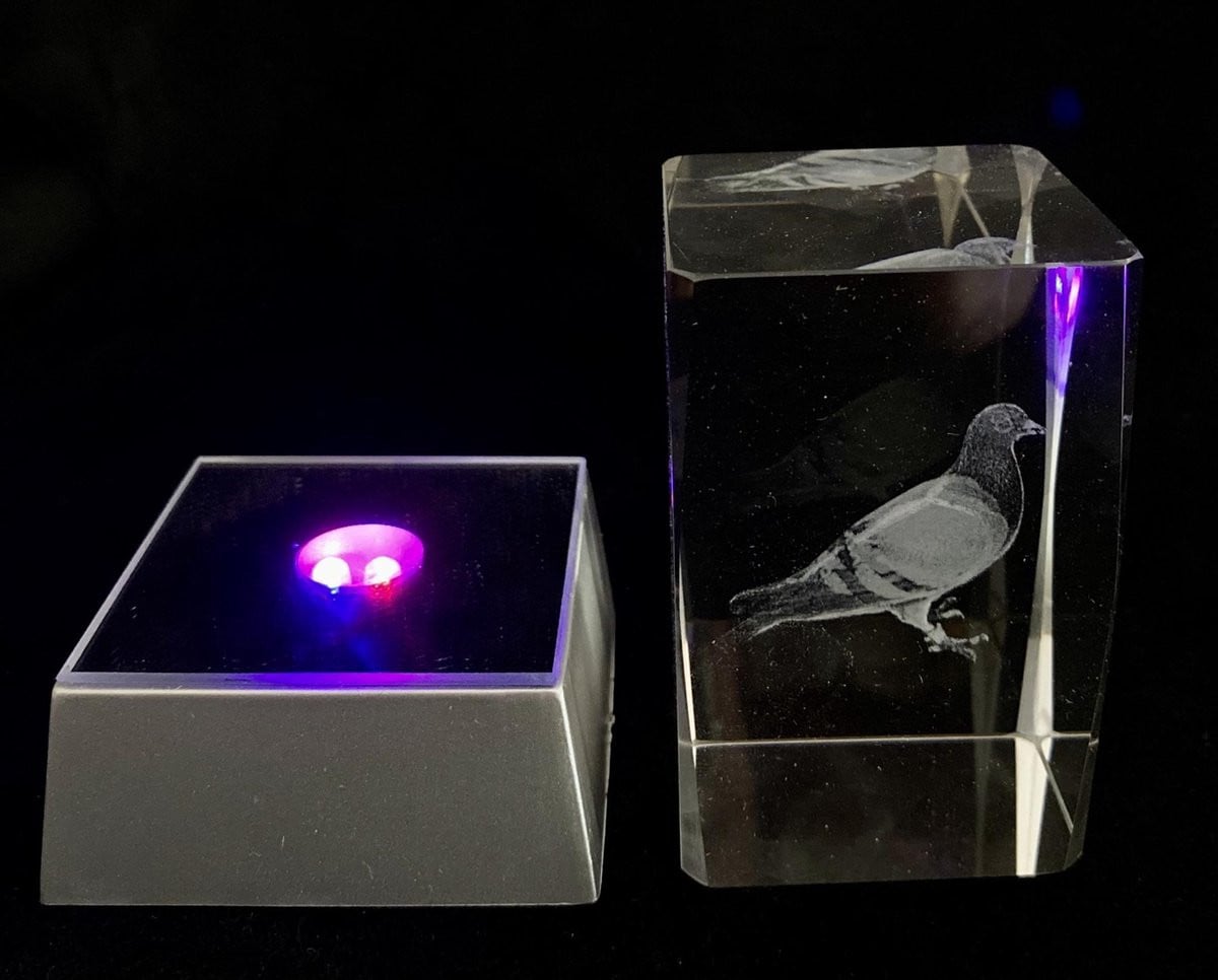 Kristal glas laserblok met 3D afbeelding van een duif en verlichting