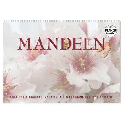 Emotionale Momente: Mandeln (Wandkalender 2027 DIN A2 quer), CALVENDO Monatskalender