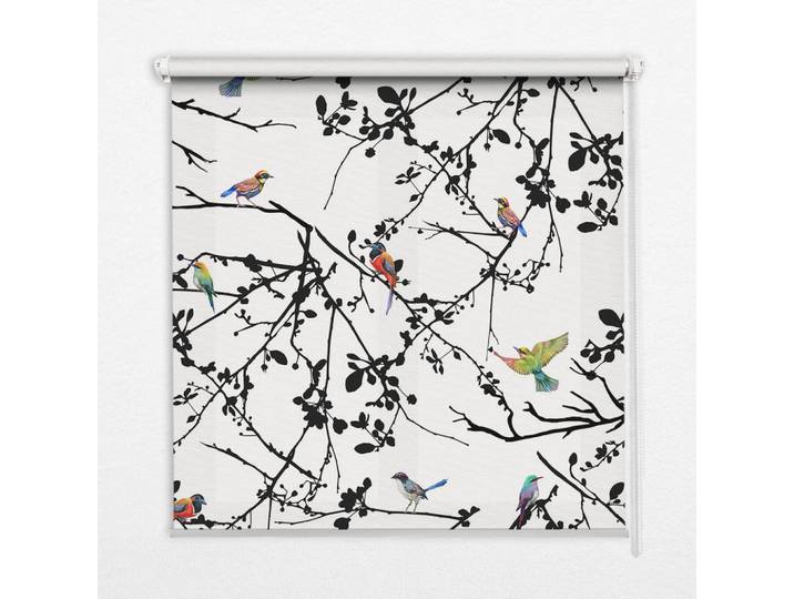 Tulup Innenrollo - Fensterrollo - Rollo - 90x180 cm - Vögel auf den Ästen, Schwarz, Kunststoff, Rechteckig, 90x180x0.5 cm, Heimtextilien, Vorhänge, Rollos