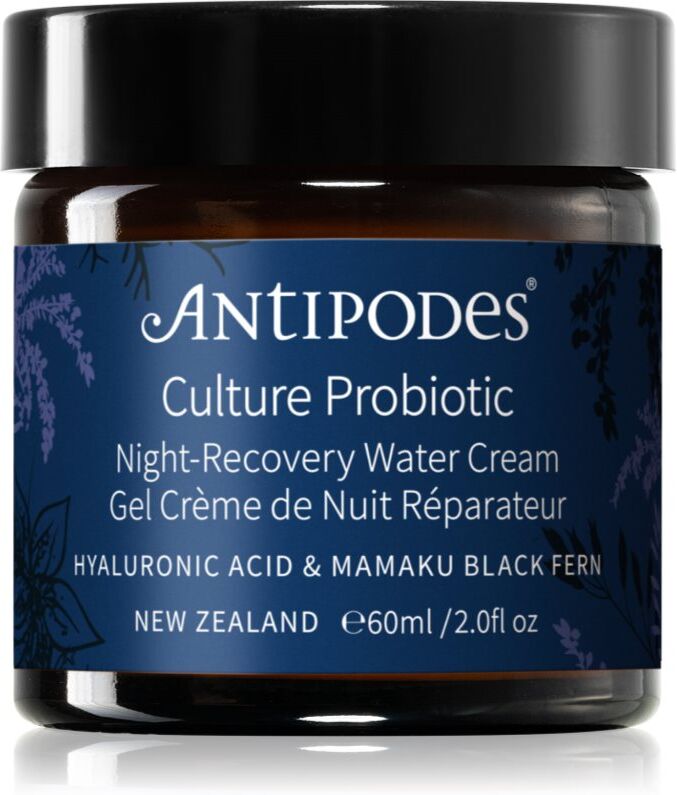 Antipodes Culture Probiotic Night Recovery Water Cream intensive Nachtcreme zur Revitalisierung der Haut mit Probiotika 60 ml
