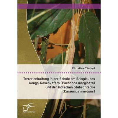 Terrarienhaltung in der Schule am Beispiel des Kongo-Rosenkäfers (Pachnoda marginata) und der Indischen Stabschrecke (Carausius morosus), Taschenbuch