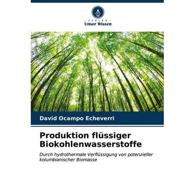 Produktion flüssiger Biokohlenwasserstoffe, Taschenbuch von David Ocampo Echeverri, Verlag Unser Wissen, 978-620-6-60190-6