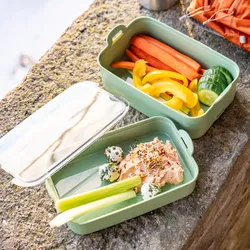 Koziol Stakk Bentobox 2 Lunchboxset 3 teilig mit 2 Boxen / 1 Deckel 2 Liter leaf green/crystal clear