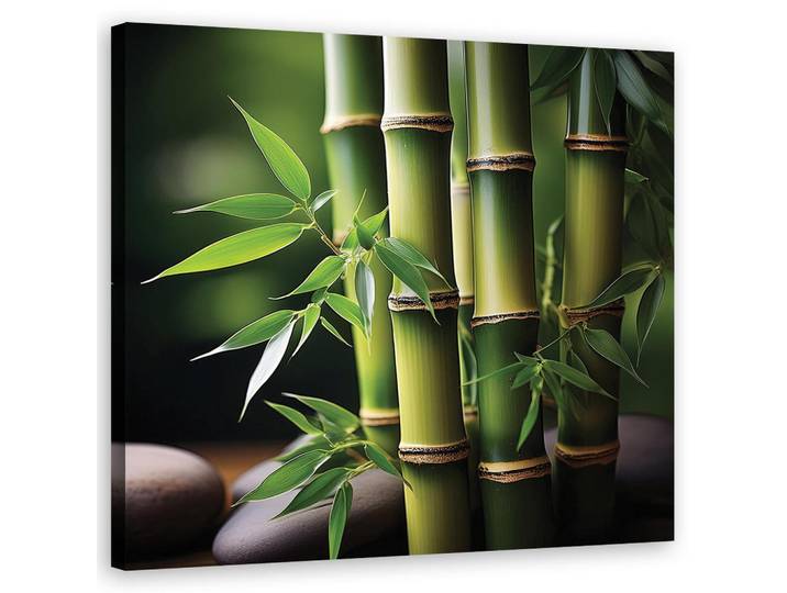 Feeby Wandbild orientalischer zen bambus, Grün, Orientalisch, Rechteckig, 50x50 cm, Bilder & Rahmen, Bilder, Leinwandbilder