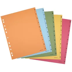 Trennblätter DIN A4 0-9 farbsortiert, 250 g/qm, 100 Blatt