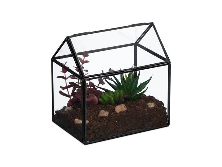 Relaxdays Planten terrarium van glas voor binnen